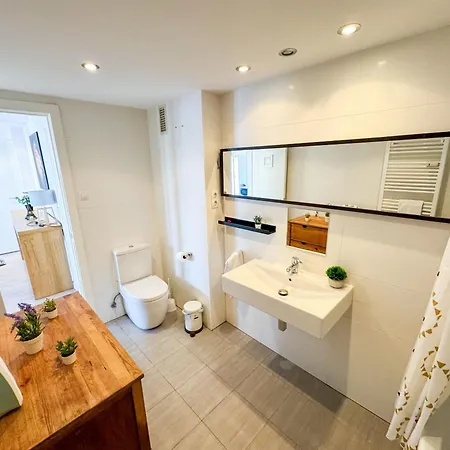 דירה El Halcon Del Pirineo Comotucasa