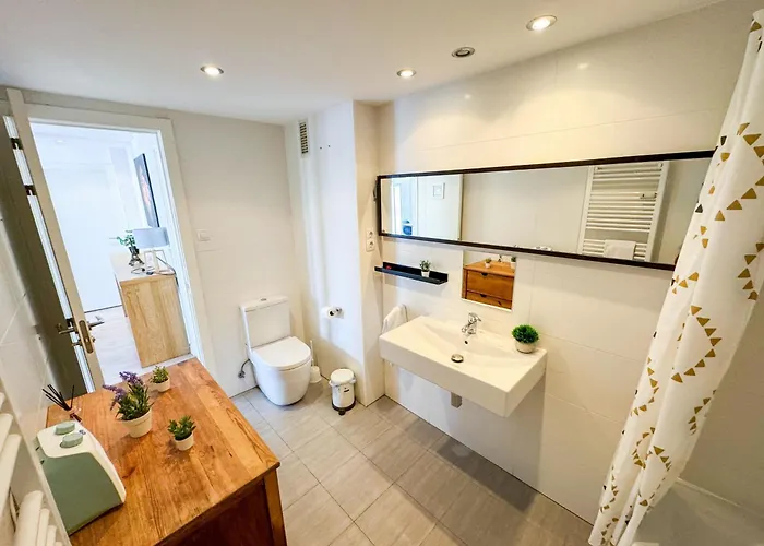 Lägenhet El Halcon Del Pirineo Comotucasa