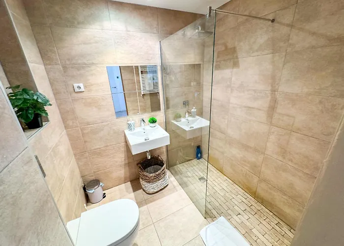 El Halcon Del Pirineo Comotucasa Huesca